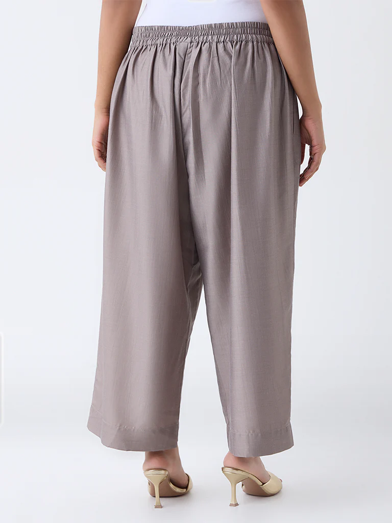 Diza Taupe Solid Pants - Image 4