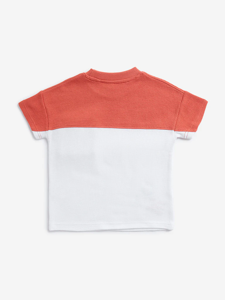 HOP Kids Boys Dusty Orange Colour blocked Cotton T-Shirt - Image 2