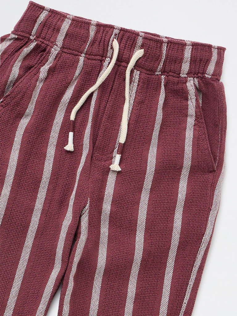 HOP Kids Boys Dusty Rose Striped Mid-Rise Cotton Trousers - Image 5