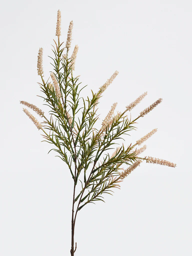 Westside Home Beige Common Reed Artificial Plant - Image 2