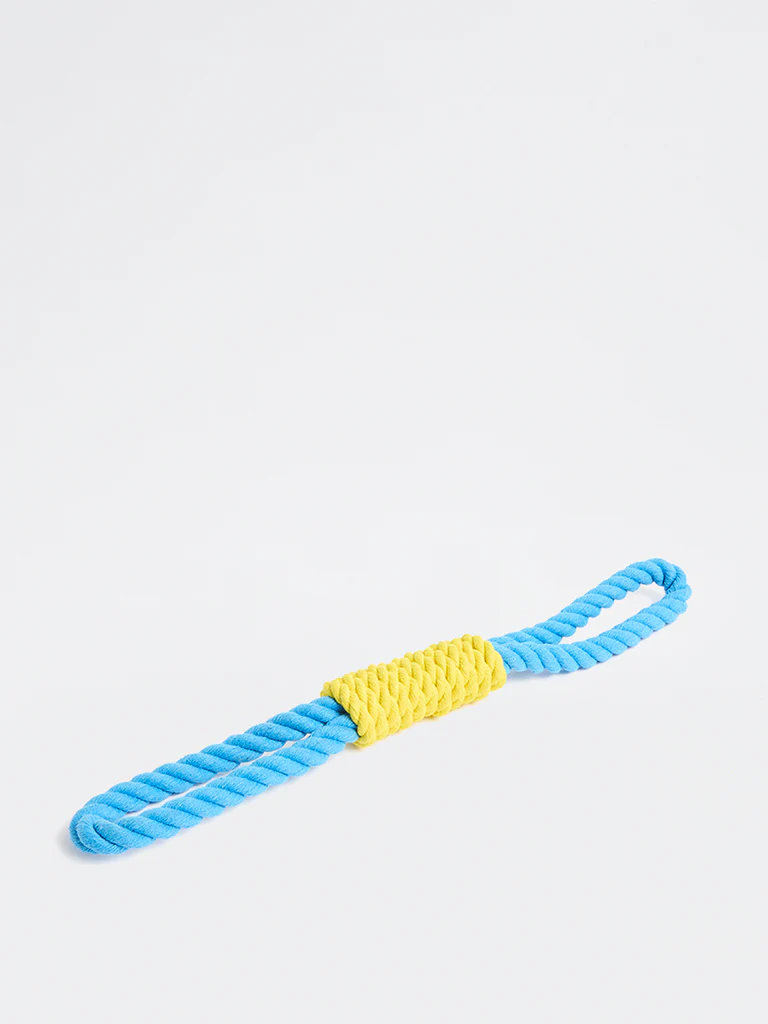Westside Home Blue And Yellow Twisted Loop Rope Pet Toy - Image 4
