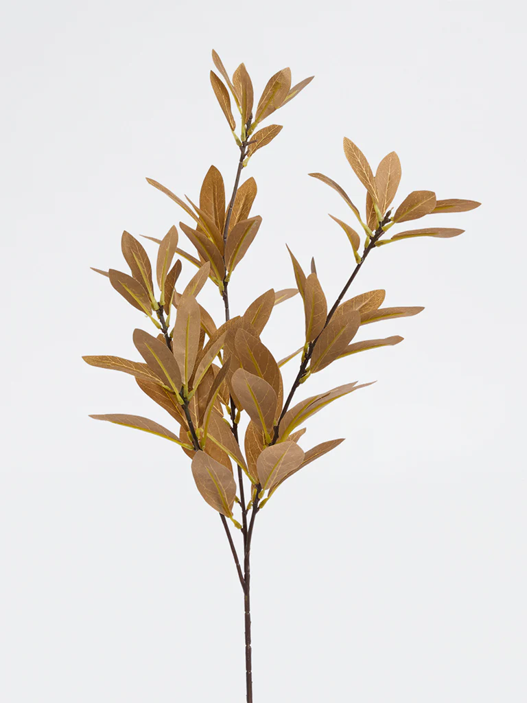 Westside Home Brown Artificial Bay Leaf Plant - Image 2