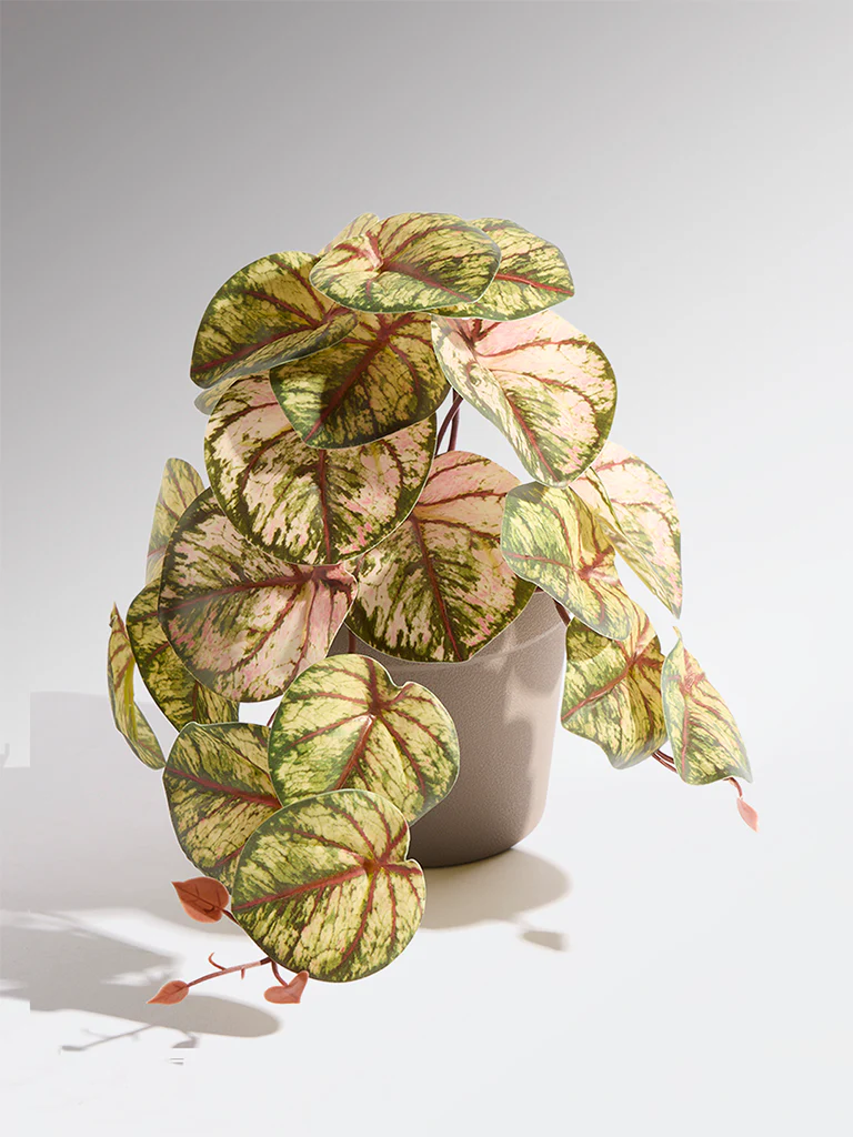 Westside Home Green and Pink Artificial Caladium Plant - Small - Image 2