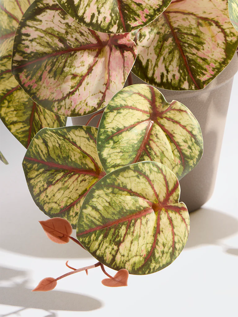 Westside Home Green and Pink Artificial Caladium Plant - Small - Image 3