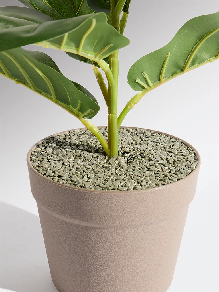 Westside Home Green Artificial Fiddle Plant - Small - Image 3