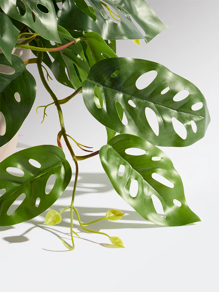 Westside Home Green Artificial Trailing Monstera Bush - Small - Image 3