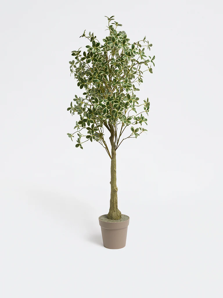 Westside Home Green Japanese Spindle Artificial Plant