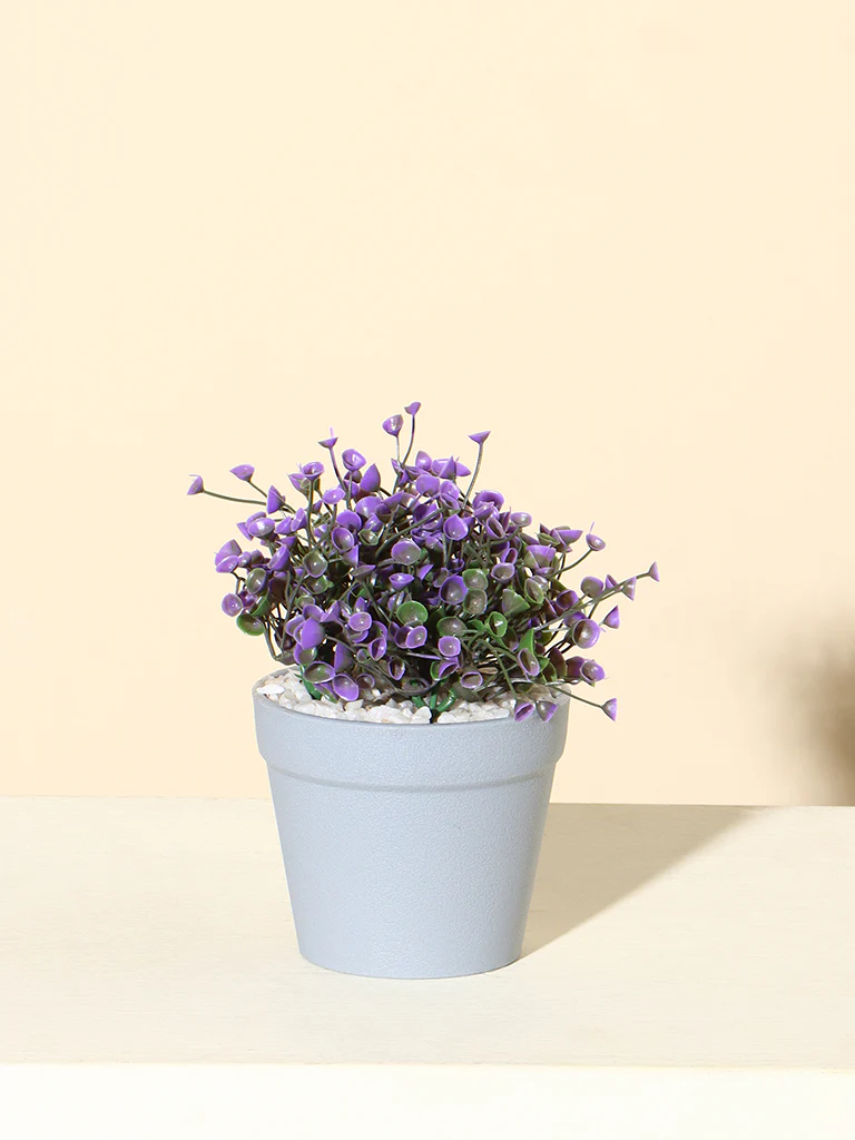 Westside Home Purple Decorative Trumpet Bush Plant - Image 2