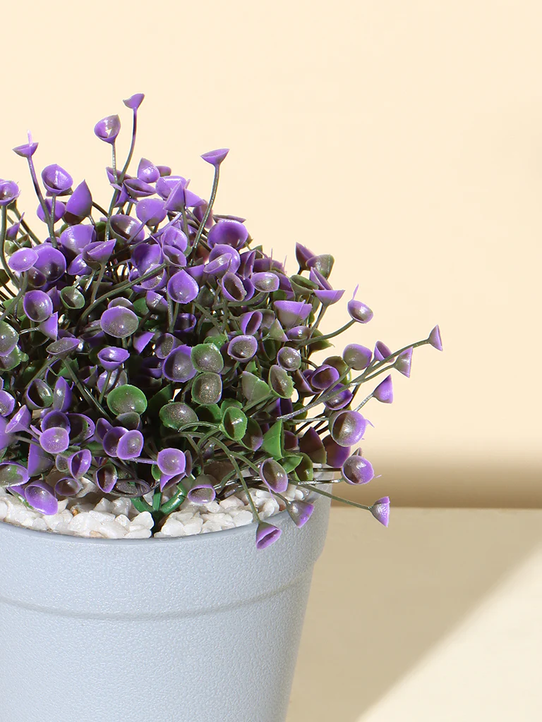 Westside Home Purple Decorative Trumpet Bush Plant - Image 3