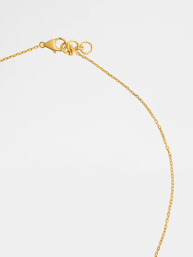 Yellow Lab Diamond Circle of Life Necklace - Image 4
