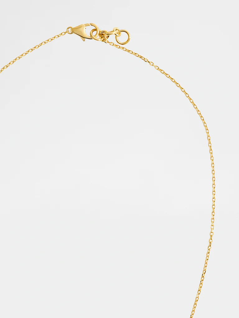 Yellow Lab Diamond Heart Necklace - Image 4